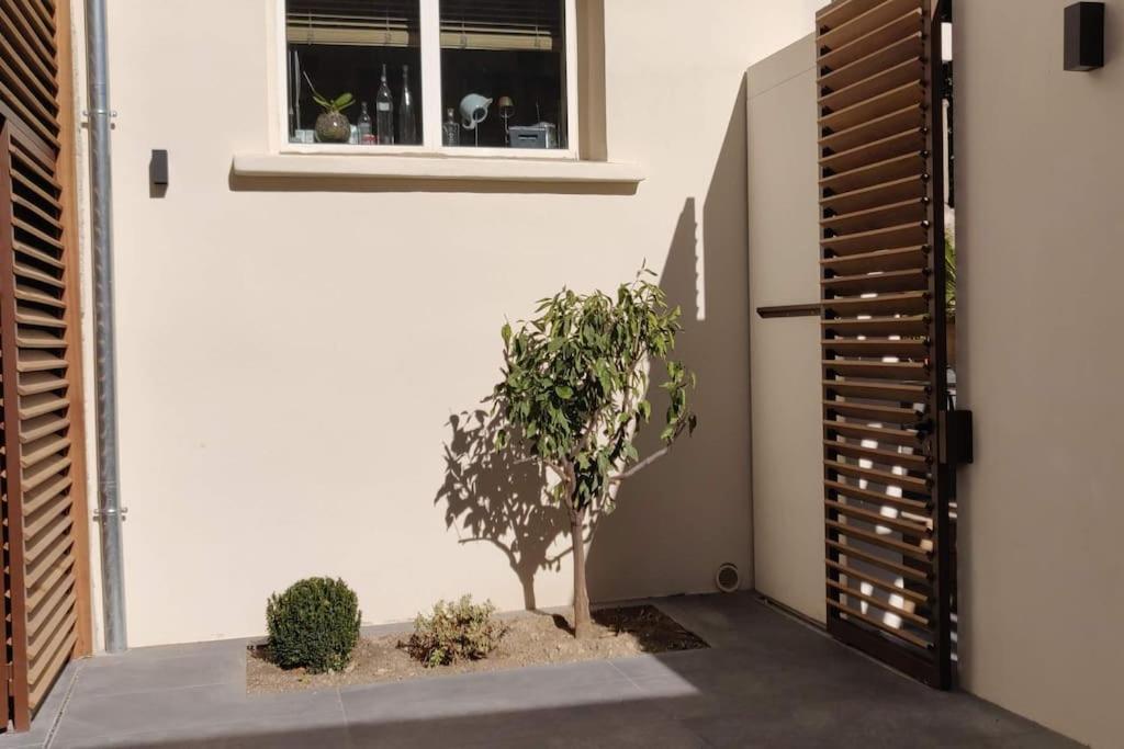 La Maison De Colette - Coeur De Village Cuxac-dʼAude Zewnętrze zdjęcie